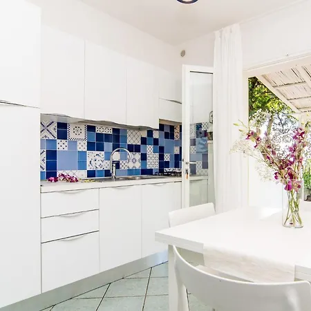 Colibri By Solturelba