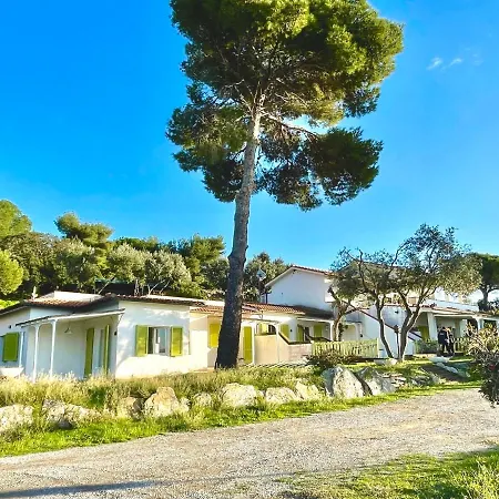 Colibri By Solturelba *