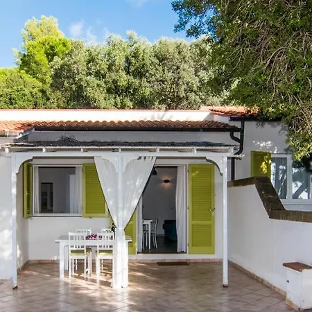 Colibri By Solturelba *