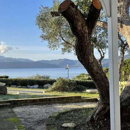 Colibri By Solturelba *