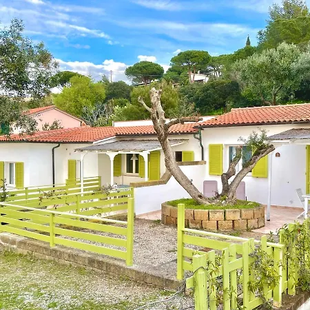 Colibri By Solturelba *