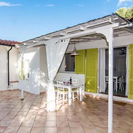 Colibri By Solturelba *