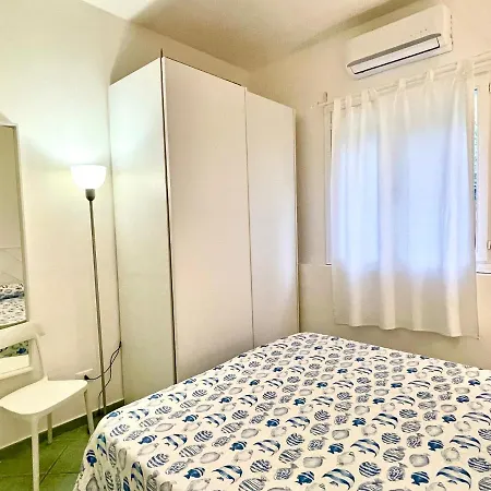 Colibri By Solturelba *