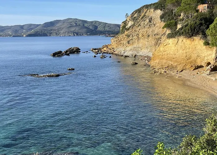 Colibri By Solturelba