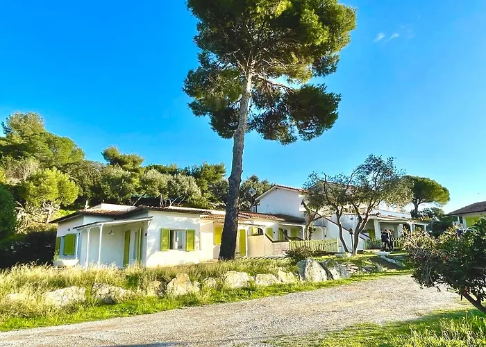 Colibri By Solturelba *