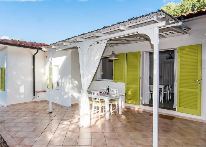 Colibri By Solturelba *