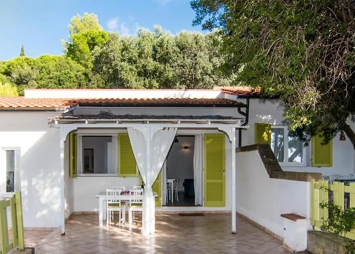 Colibri By Solturelba *