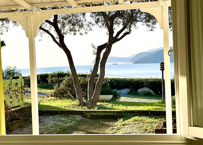 Colibri By Solturelba