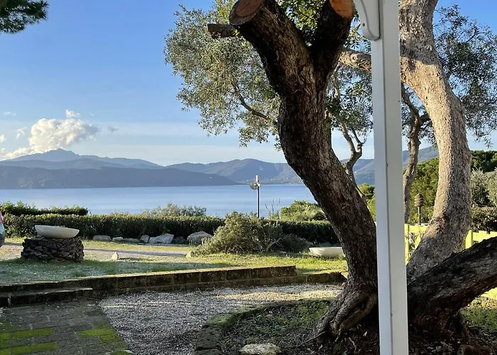 Colibri By Solturelba *