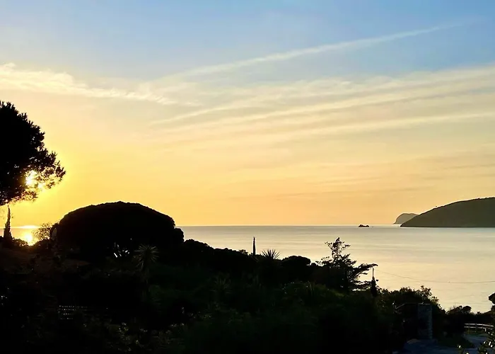 Colibri By Solturelba *