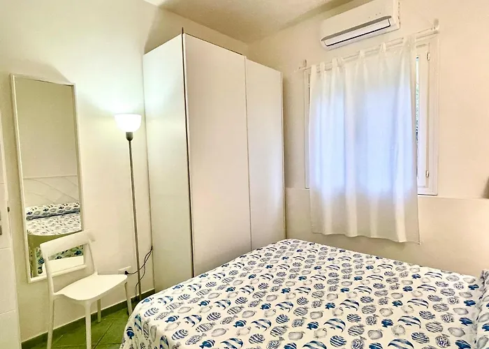 Colibri By Solturelba *