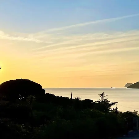 Colibri By Solturelba *