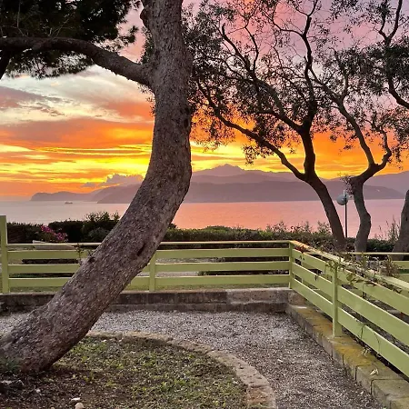 Colibri By Solturelba *