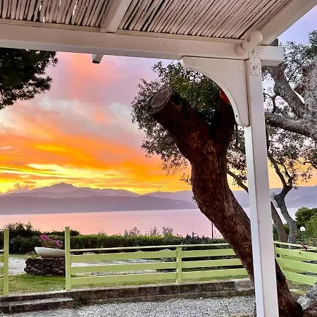 Διαμέρισμα Colibri By Solturelba